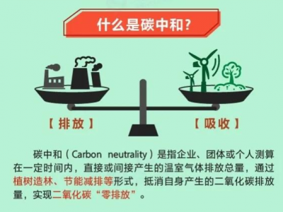 什么是碳中和图解