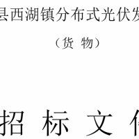 预算599.76万 阳谷县西湖镇分布式光伏发电项目